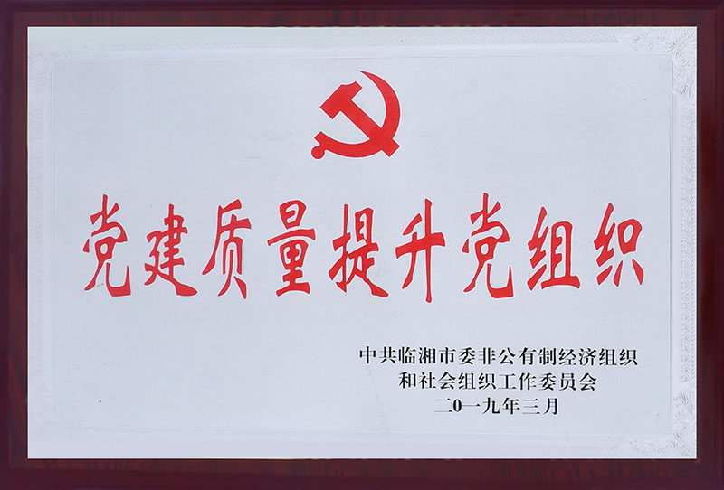 党建质量提升党组织